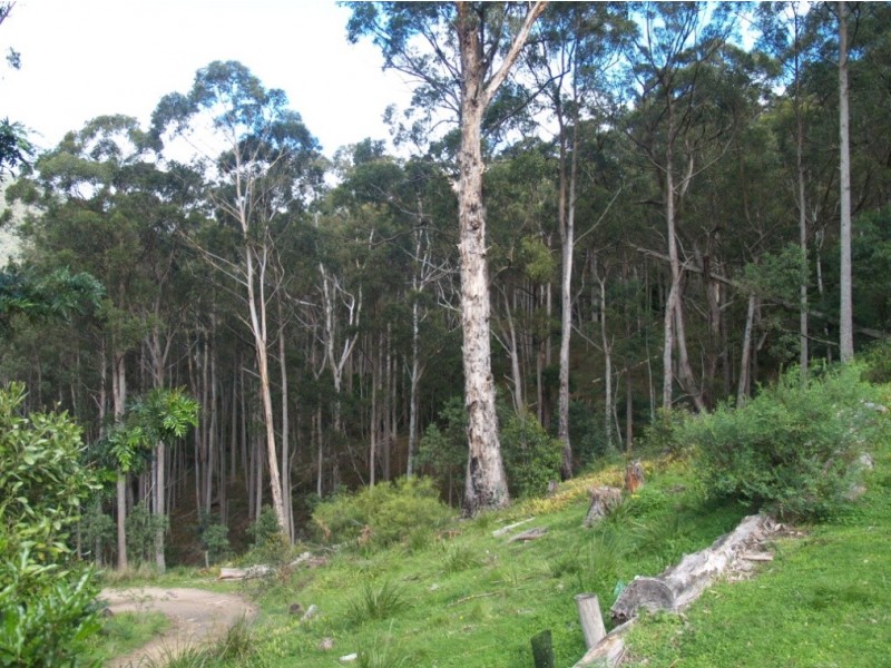 3919 Snowy Mtns Hwy, Bemboka NSW 2550