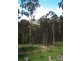3919 Snowy Mtns Hwy, Bemboka NSW 2550