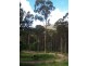 3919 Snowy Mtns Hwy, Bemboka NSW 2550