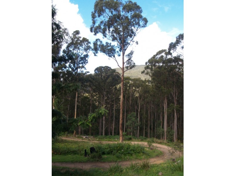 3919 Snowy Mtns Hwy, Bemboka NSW 2550