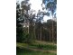 3919 Snowy Mtns Hwy, Bemboka NSW 2550
