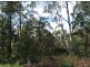3919 Snowy Mtns Hwy, Bemboka NSW 2550