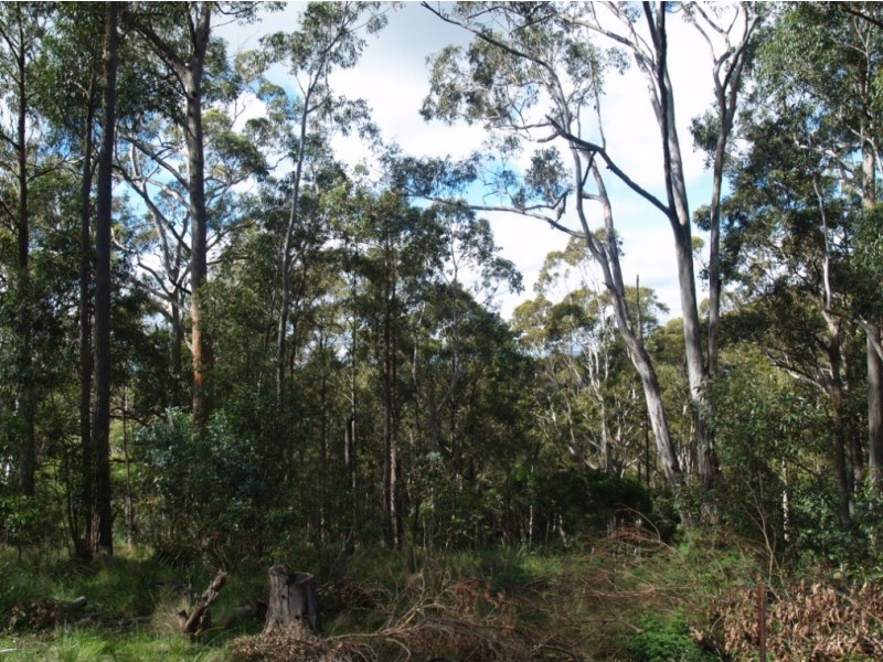 3919 Snowy Mtns Hwy, Bemboka NSW 2550