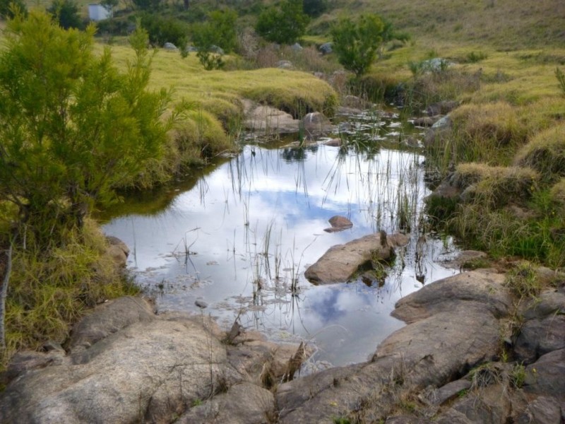 184 Snowy Mtns Hwy, Bega NSW 2550
