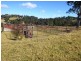 184 Snowy Mtns Hwy, Bega NSW 2550