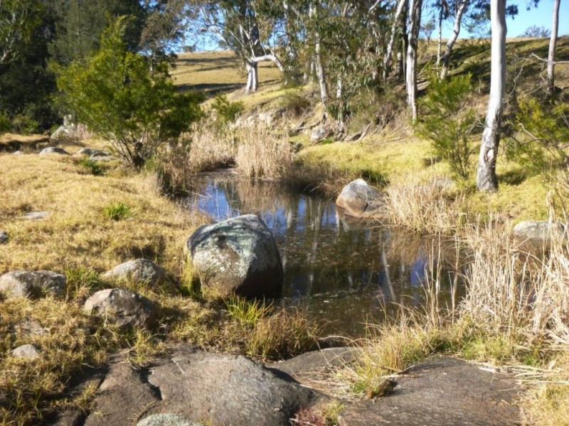 184 Snowy Mtns Hwy, Bega NSW 2550