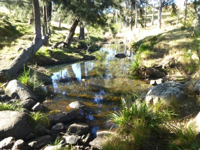 184 Snowy Mtns Hwy, Bega NSW 2550