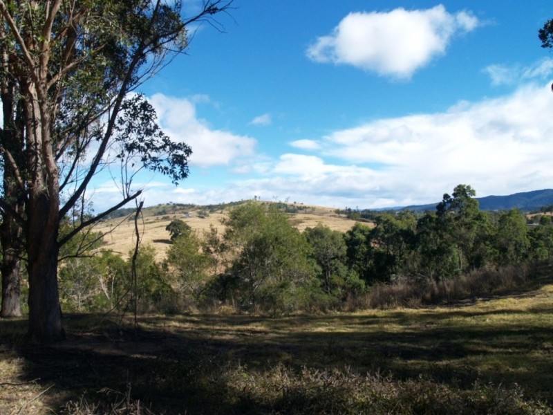 Lot 492 Snowy Mtns Hwy, Numbugga NSW 2550