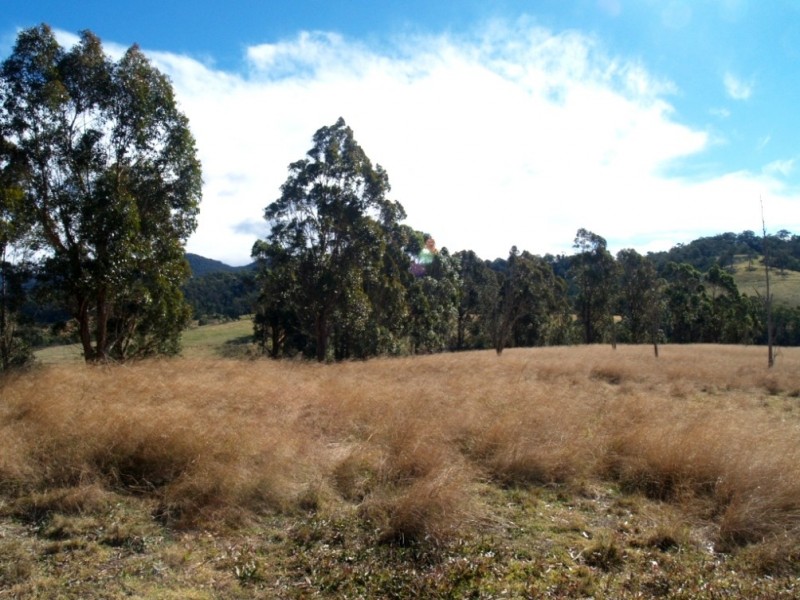 Lot 492 Snowy Mtns Hwy, Numbugga NSW 2550