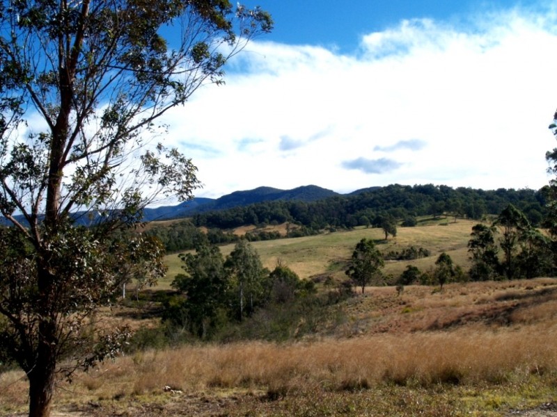 Lot 492 Snowy Mtns Hwy, Numbugga NSW 2550