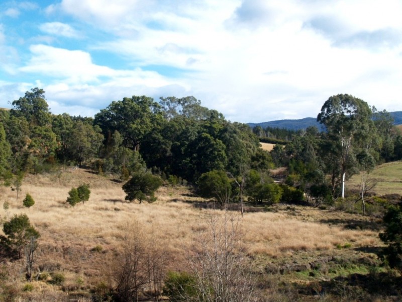 Lot 492 Snowy Mtns Hwy, Numbugga NSW 2550