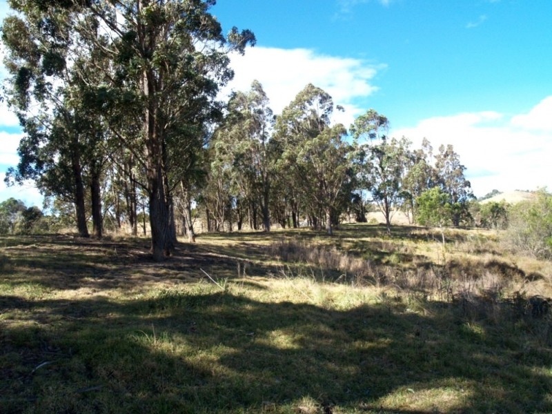 Lot 492 Snowy Mtns Hwy, Numbugga NSW 2550