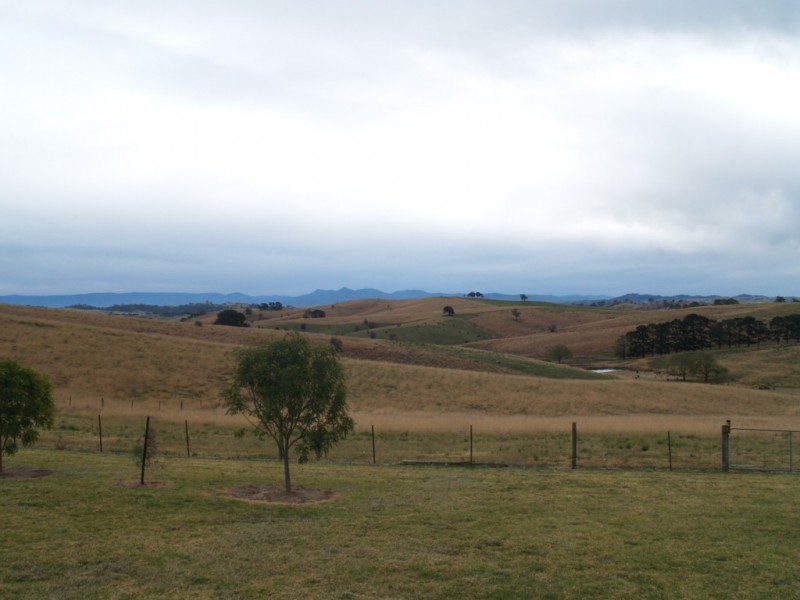 149 Towridgee Lane, Candelo NSW 2550
