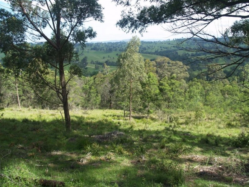713 Upper Cobargo Rd, Brogo NSW 2550