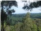 713 Upper Cobargo Rd, Brogo NSW 2550
