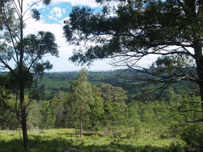 713 Upper Cobargo Rd, Brogo NSW 2550