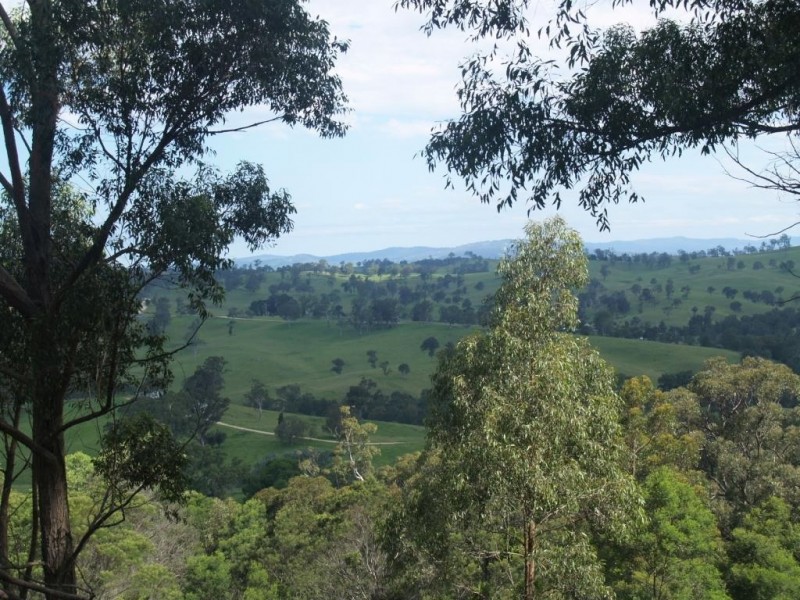 713 Upper Cobargo Rd, Brogo NSW 2550