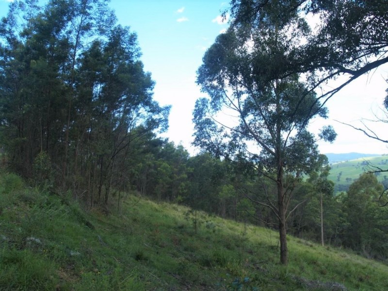 713 Upper Cobargo Rd, Brogo NSW 2550