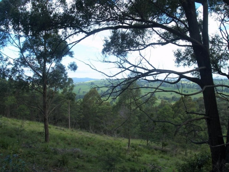 713 Upper Cobargo Rd, Brogo NSW 2550