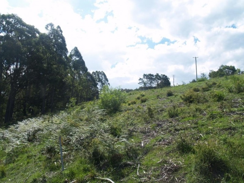 713 Upper Cobargo Rd, Brogo NSW 2550