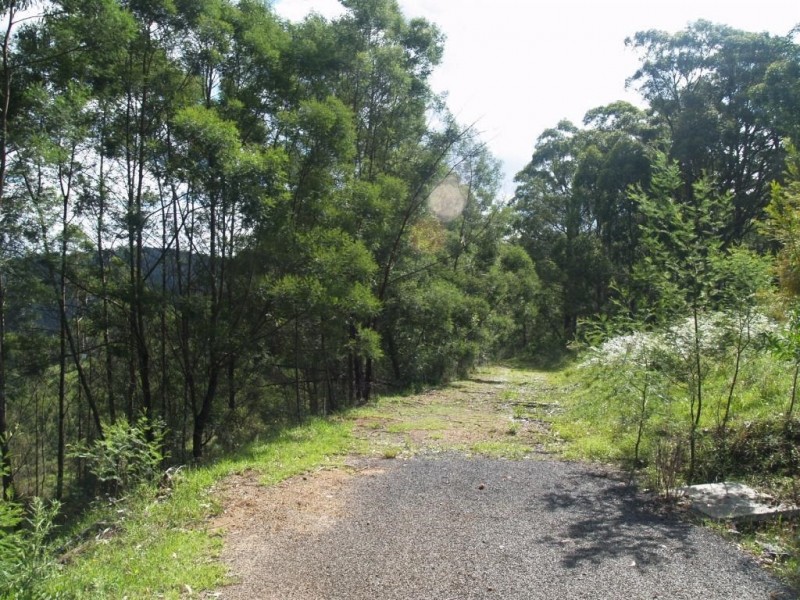 713 Upper Cobargo Rd, Brogo NSW 2550