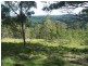 713 Upper Cobargo Rd, Brogo NSW 2550