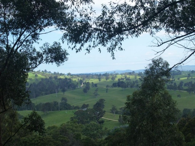 713 Upper Cobargo Rd, Brogo NSW 2550