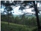 713 Upper Cobargo Rd, Brogo NSW 2550