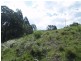 713 Upper Cobargo Rd, Brogo NSW 2550