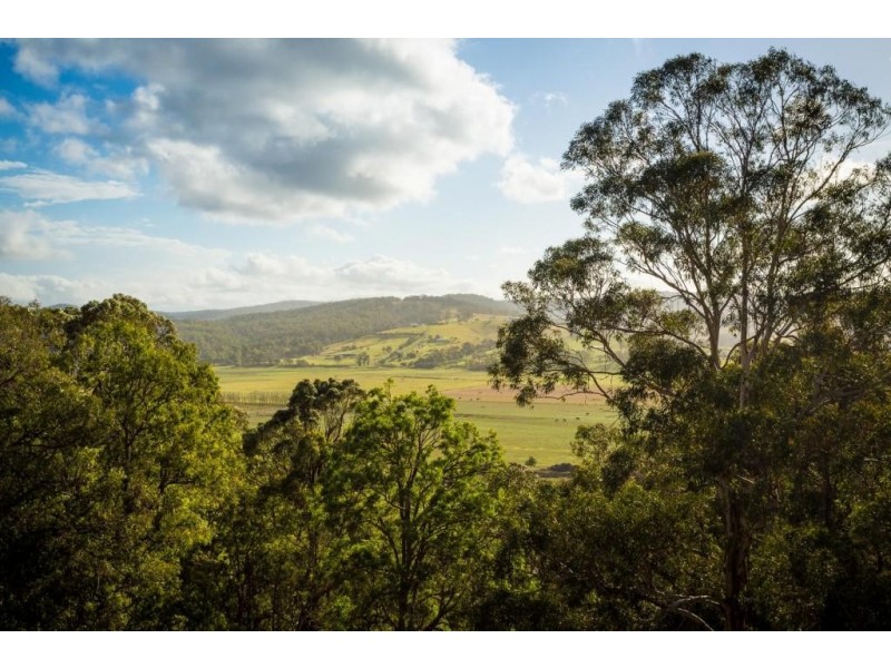 77 Jellat Way, Kalaru NSW 2550