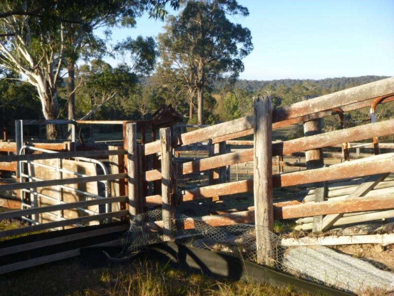 51 Old Mill Lane, Wolumla NSW 2550