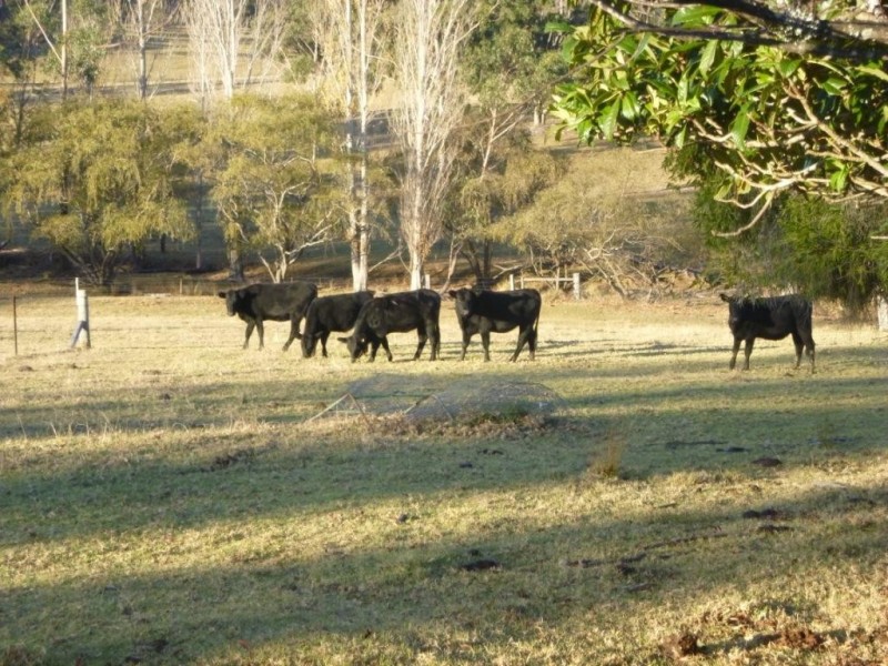 51 Old Mill Lane, Wolumla NSW 2550