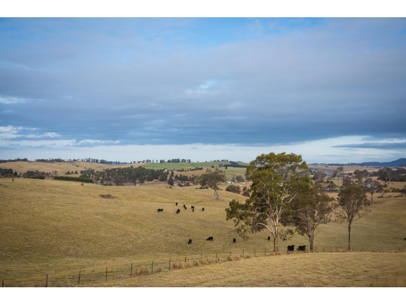 290 Kemps Lane, Kameruka NSW 2550
