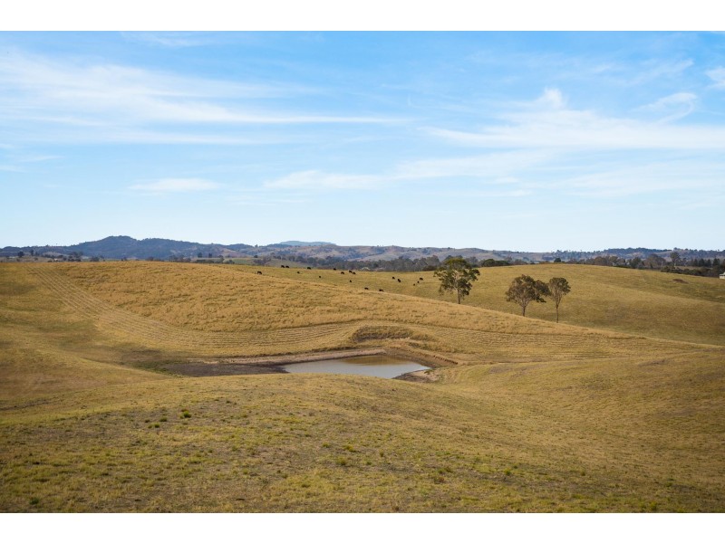 290 Kemps Lane, Kameruka NSW 2550