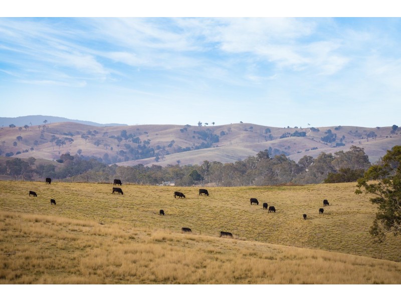 290 Kemps Lane, Kameruka NSW 2550