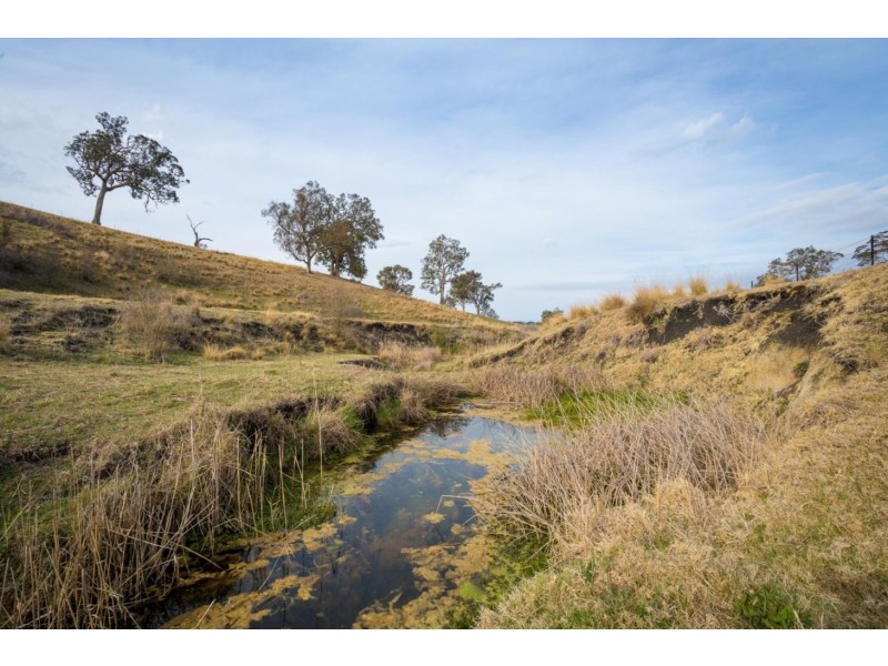 290 Kemps Lane, Kameruka NSW 2550