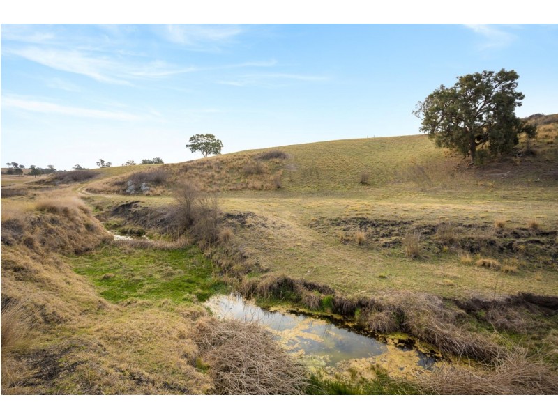 290 Kemps Lane, Kameruka NSW 2550