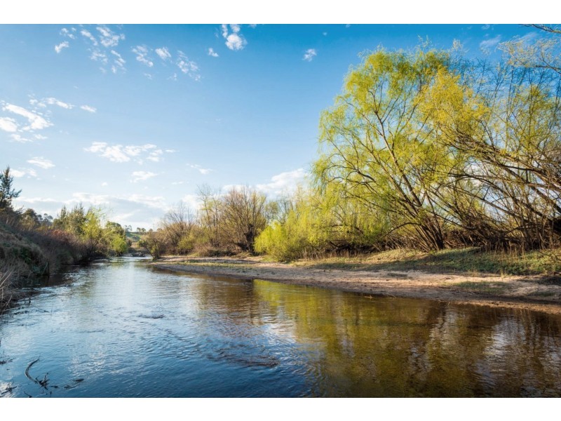 80 Taylor Road, Buckajo NSW 2550