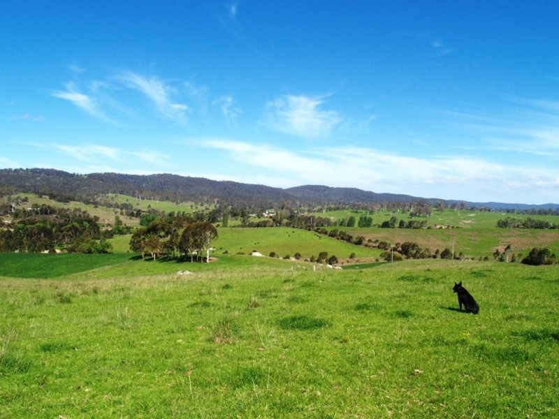 80 Taylor Road, Buckajo NSW 2550