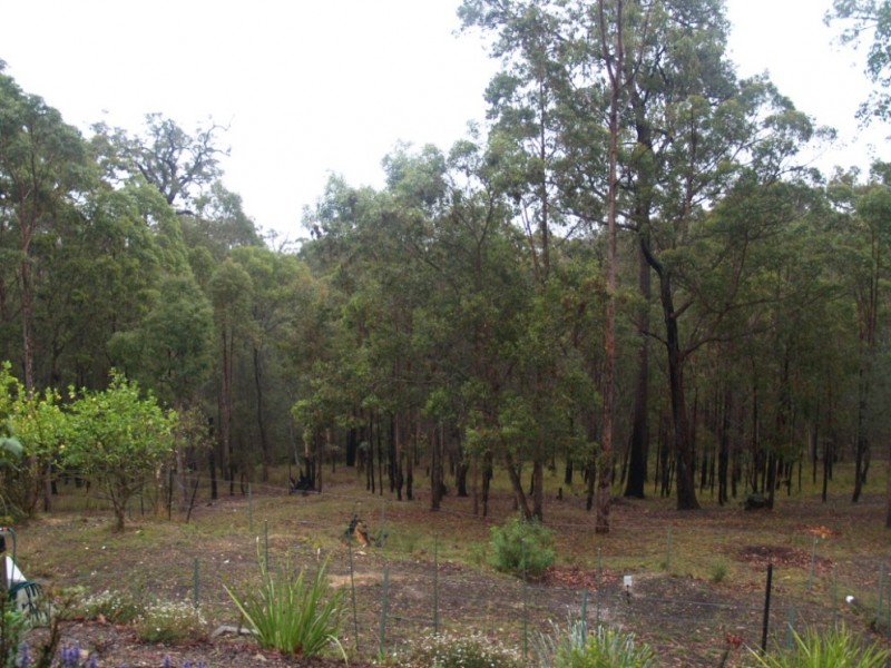 10 Ferntree Lane, Wallagoot NSW 2550