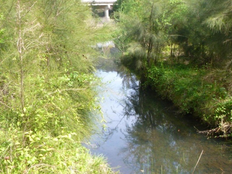 66 Princes Hwy, Cobargo NSW 2550