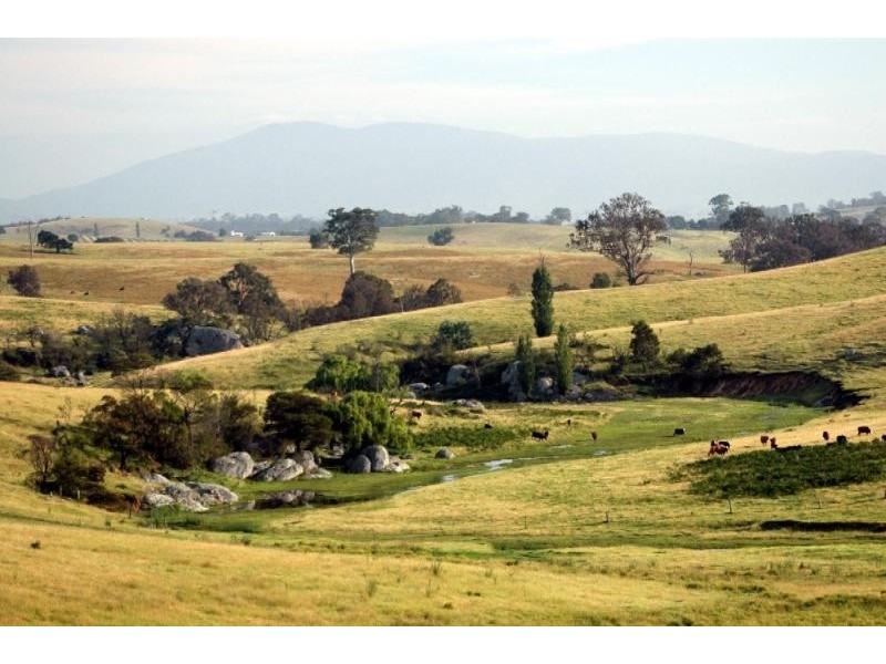 Bega NSW 2550