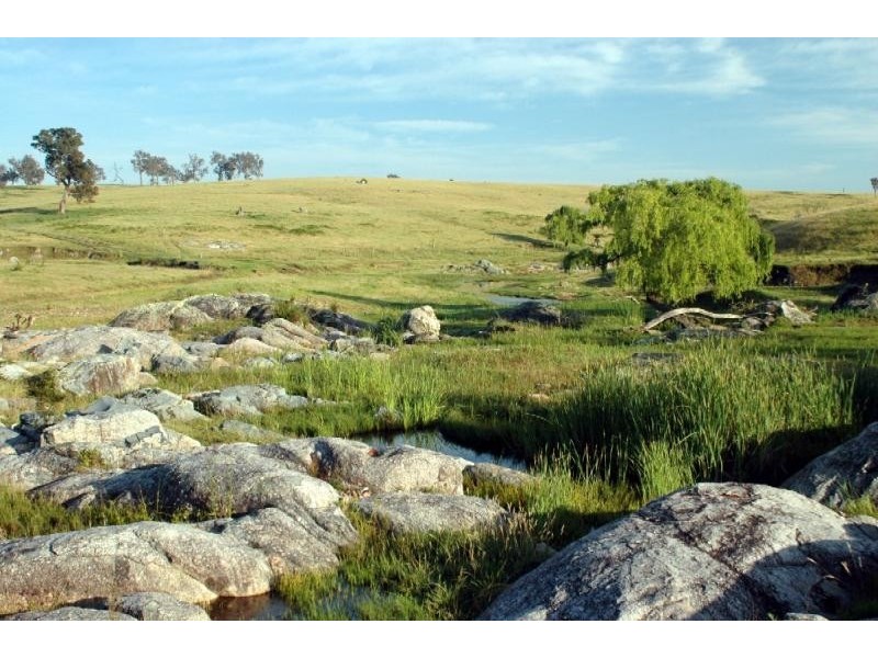 Bega NSW 2550