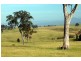 Bega NSW 2550