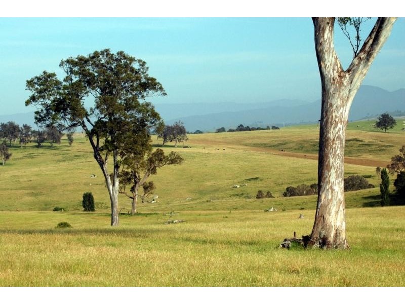 Bega NSW 2550