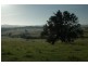 Bega NSW 2550
