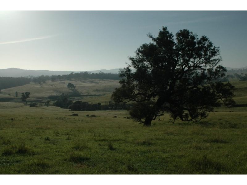 Bega NSW 2550