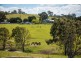 123 Dummett Jessops Rd, Quaama NSW 2550