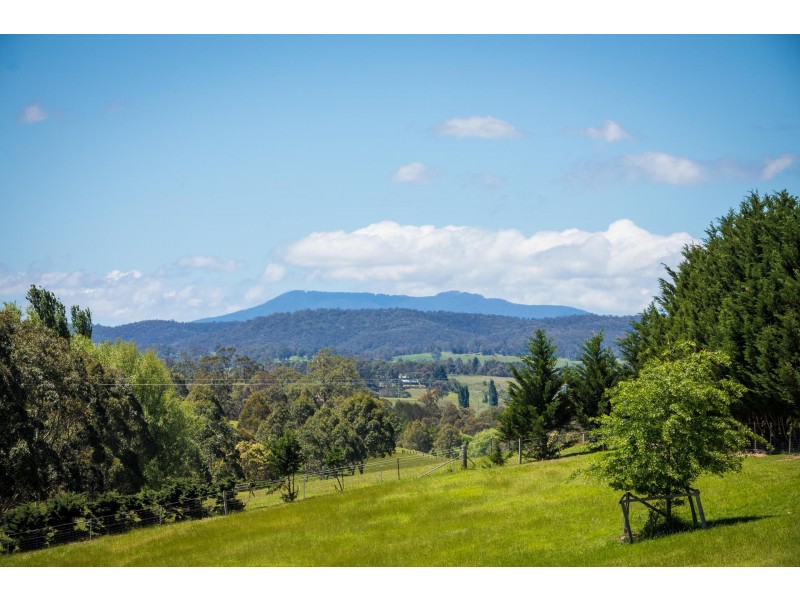 123 Dummett Jessops Rd, Quaama NSW 2550