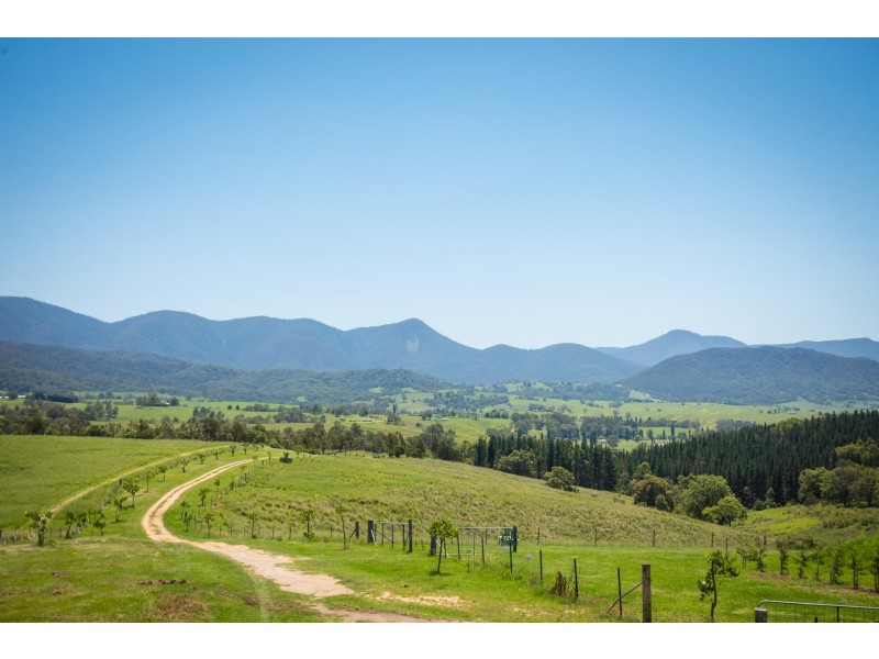 3537 Snowy Mtns Hwy, Bemboka NSW 2550